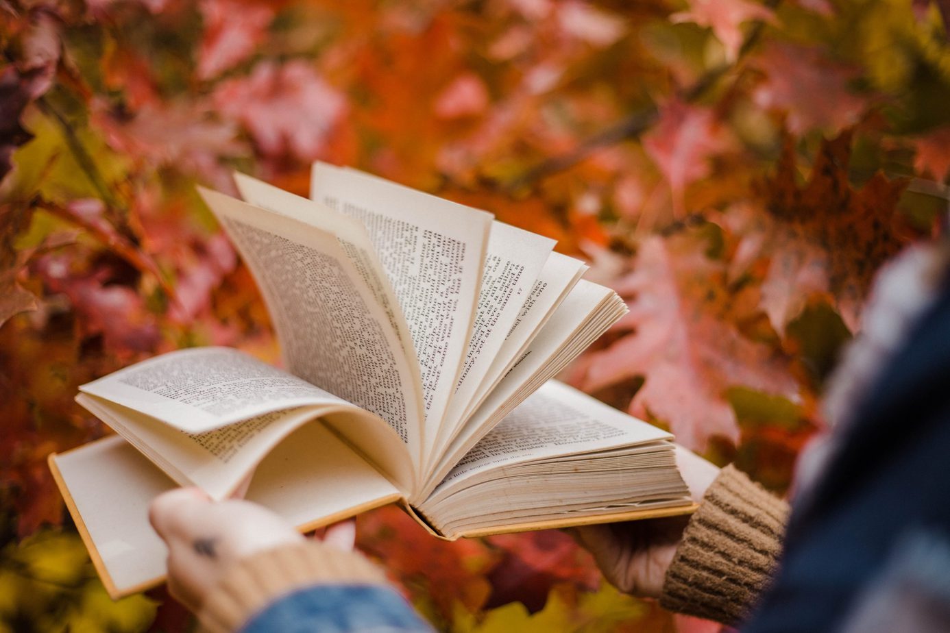 Septembrie – Studii comportamentale. Biografii. Povești de dragoste