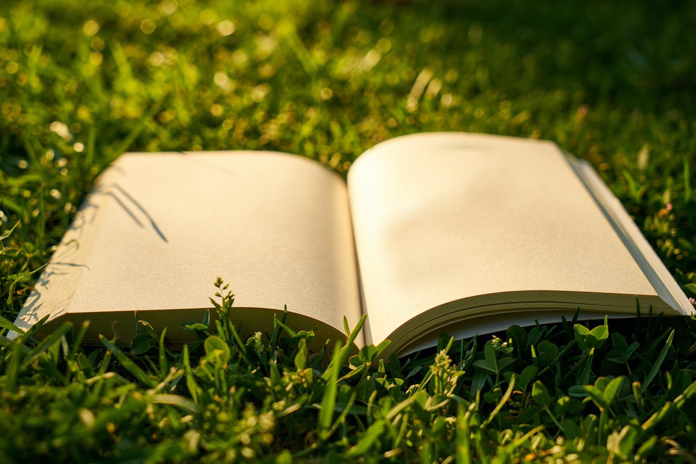 Scos din tipar (mai 2021, săptămâna 2) – Literatură penitenciară. Romane